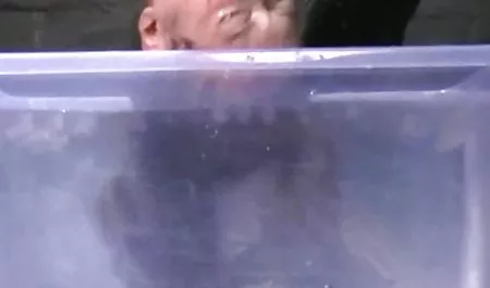 Alex łyk mleka sex starsze mamuski