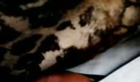 Trzy redtube dojrzale mamuski